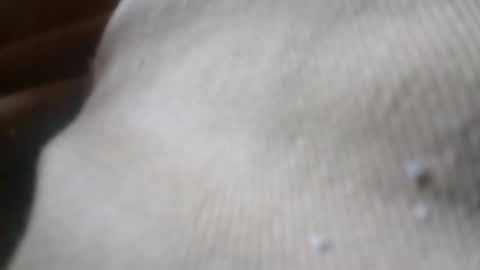 Snapshot of zoeybaby555gfr chatting on 06-04-26, 05:08 bigdickdaddy online show from 06-04-26, 05:08