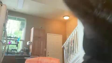 Zoeydanner online show from 02-17-26, 08:48