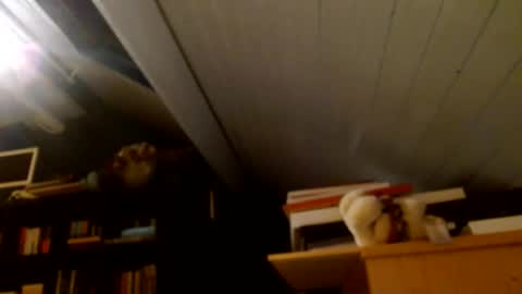 zolexthomas online show from 01-15-25, 04:43