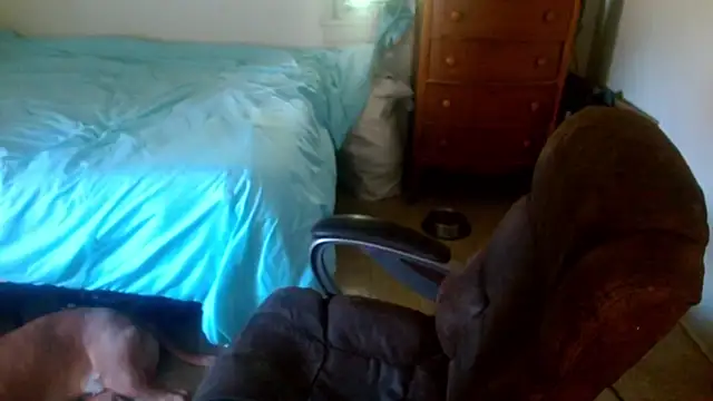 DADDY KANE8--- online show from 04-23-26, 04:20