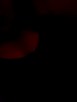 FerLu8 online show from 02-26-26, 04:00