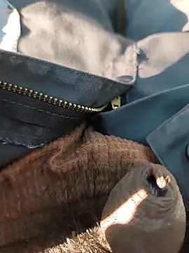 Snapshot of Nishu12356g chatting on 09-20-25, 02:40 Nishu12356g online show from 09-20-25, 02:40