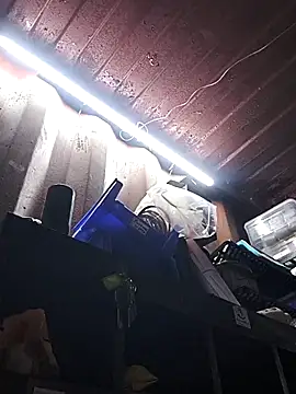 rajstrip12650 online show from 12-18-25, 09:26