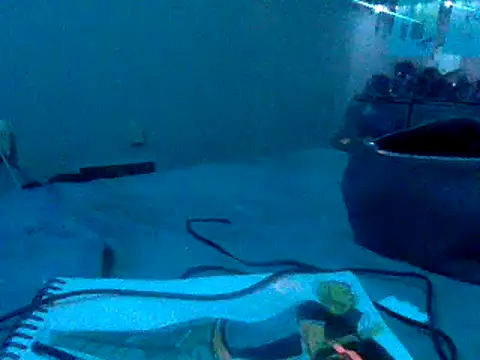 Snapshot of Fr4nk1eFFuxxx chatting on 01-03-25, 09:36 Fr4nk1eFFuxxx online show from 01-03-25, 09:36