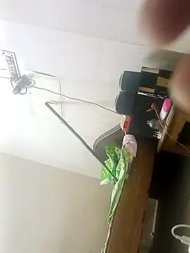 Rupok dulavai online show from 10-26-25, 05:24