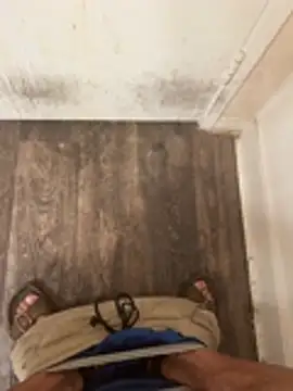 Snapshot of ghostx457_2 chatting on 03-15-26, 12:11 ghostx457 2 online show from 03-15-26, 12:11