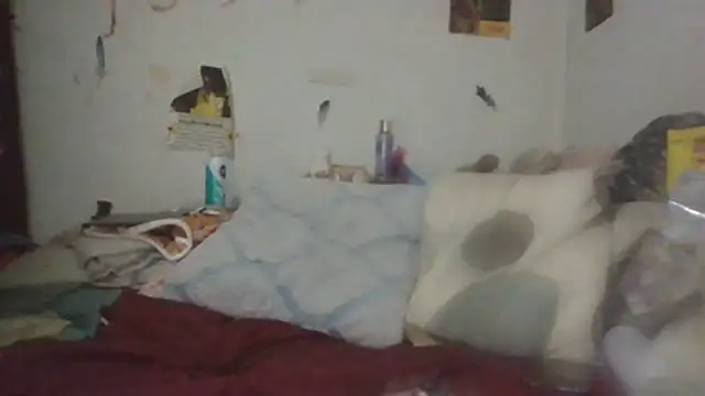 Snapshot of paradisejas chatting on 07-06-26, 11:40 paradisejas online show from 07-06-26, 11:40