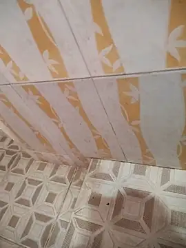 Sanjaymartin29 online show from 03-21-25, 02:50