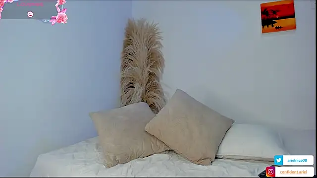 ariel35 online show from 04-13-26, 08:25