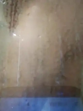 stiffandlubedxh online show from 11-23-25, 07:46