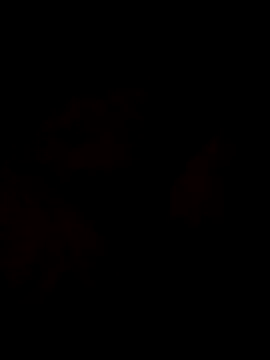 Snapshot of Sanny212 chatting on 12-09-24, 12:40 Sanny212 online show from 12-09-24, 12:40