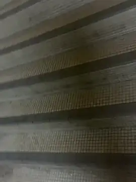 wSilEliaXm online show from 09-16-25, 02:56