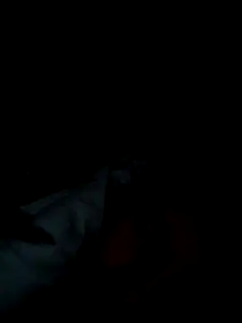 michele1500 online show from 11-25-25, 09:37