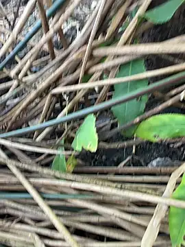 Yurt000 online show from 09-11-25, 03:17