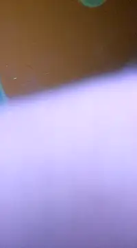 Snapshot of ducicsajsziii chatting on 01-28-25, 05:54 ducicsajsziii online show from 01-28-25, 05:54