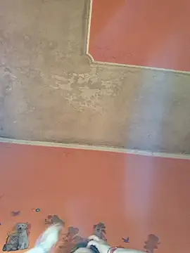 ducicsajsziii online show from 04-22-26, 07:55