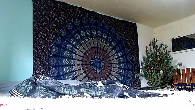 Tylerfordxxx online show from 02-20-26, 03:01