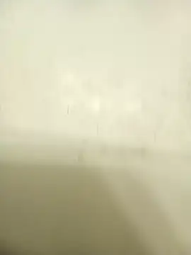 Masternasty online show from 11-25-25, 06:46