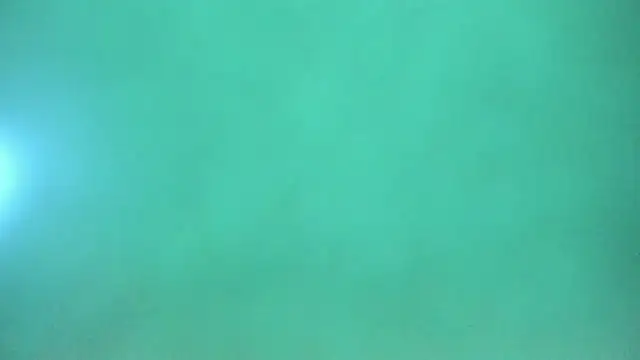 Harleysexycrazy online show from 12-12-24, 04:04