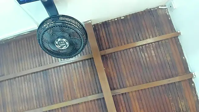 emily-fox online show from 04-21-26, 11:05