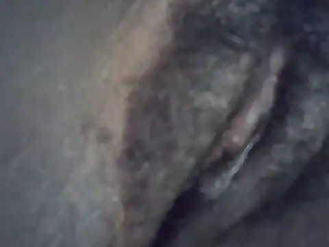 Snapshot of Sonnia_ chatting on 06-09-26, 08:53 Sonnia online show from 06-09-26, 08:53