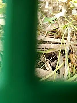 parejamlga58 online show from 04-21-26, 09:04