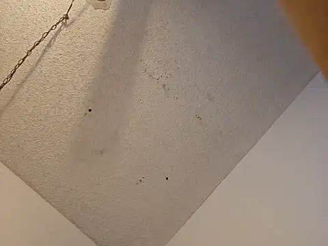 anyway2cum online show from 01-19-25, 02:59