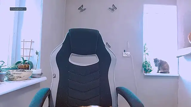 RosaJil online show from 02-11-26, 12:32