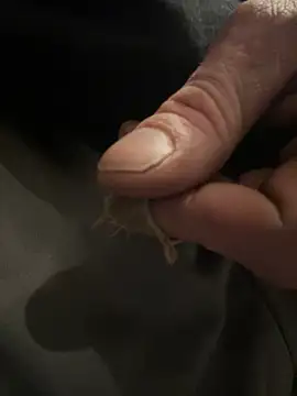 Snapshot of Followthepiper chatting on 02-05-25, 02:40 Followthepiper online show from 02-05-25, 02:40