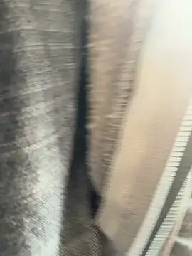 Snapshot of Followthepiper chatting on 03-20-25, 07:35 Followthepiper online show from 03-20-25, 07:35