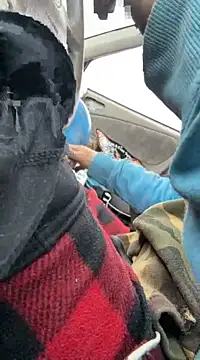 Snapshot of Followthepiper chatting on 03-22-25, 03:42 Followthepiper online show from 03-22-25, 03:42