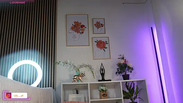 LillyDolls23 online show from 04-25-26, 01:41