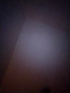 Treemandude online show from 01-06-26, 10:08