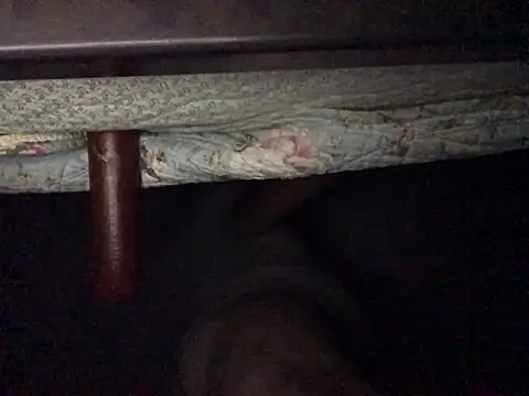 Nodsride online show from 07-12-26, 04:25