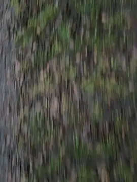 Przystojniak77 online show from 12-20-25, 02:24