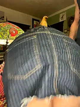 Snapshot of sexyasscougar chatting on 11-29-25, 04:04 sexyasscougar online show from 11-29-25, 04:04