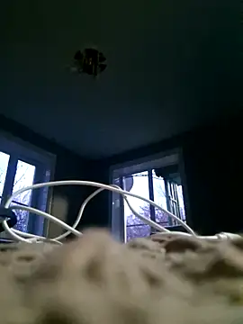 WhoreAnalsssxxx online show from 03-31-26, 03:56