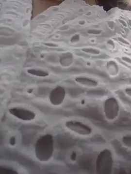 scarlett moore online show from 04-25-26, 04:37