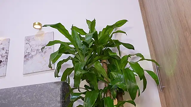 katie cruz online show from 04-23-26, 11:20