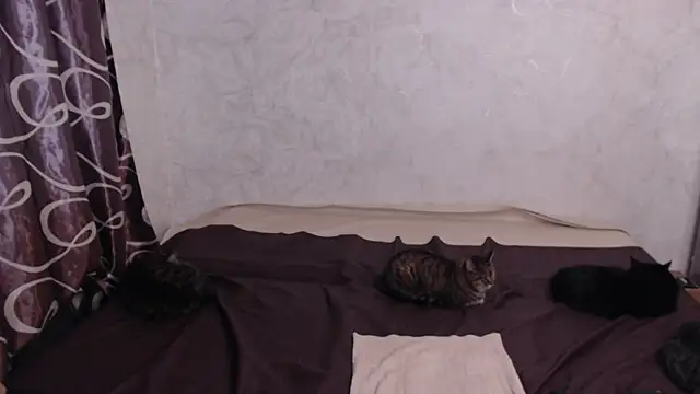 Olivia Winston online show from 04-10-26, 02:39