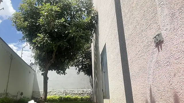 Snapshot of ChocolateCakeQueen chatting on 11-11-25, 04:40 ChocolateCakeQueen online show from 11-11-25, 04:40