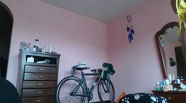 Snapshot of CoreAlejito chatting on 01-30-25, 04:13 CoreAlejito online show from 01-30-25, 04:13