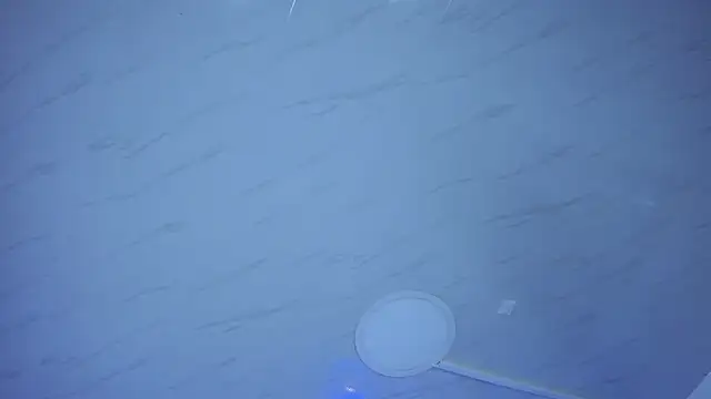 Amareto  online show from 01-31-26, 07:11