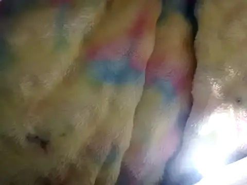 Snapshot of Moreno1813 chatting on 03-15-25, 02:55 Moreno1813 online show from 03-15-25, 02:55