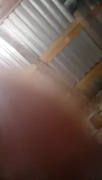 Snapshot of Moreno1813 chatting on 11-05-25, 06:13 Moreno1813 online show from 11-05-25, 06:13