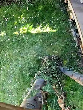 Lorent6969 online show from 03-07-25, 01:18