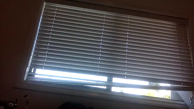 Snapshot of lilboygonewild chatting on 09-08-25, 10:53 lilboygonewild online show from 09-08-25, 10:53