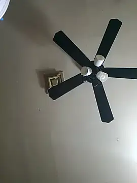 Hugebwc102 online show from 11-23-25, 08:03