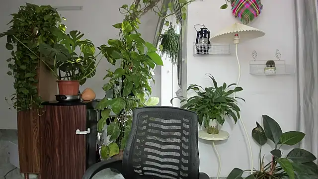 Oliver Nl online show from 11-17-25, 05:24