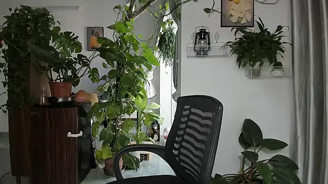 Oliver Nl online show from 11-28-25, 04:48